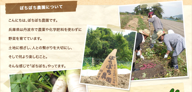 ぼちぼち農園について。こんにちは、ぼちぼち農園です。 兵庫県は丹波市で農薬や化学肥料を使わずに 野菜を育てています。 土地に根ざし、人との繋がりを大切にし、そして何より楽しむこと。そんな感じで「ぼちぼち」やってます。
